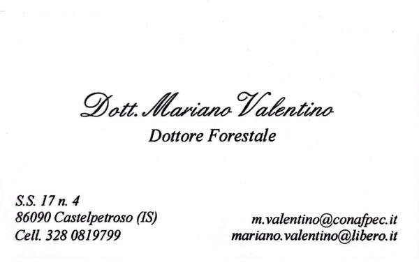 Dottore Forestale Mariano Valentino